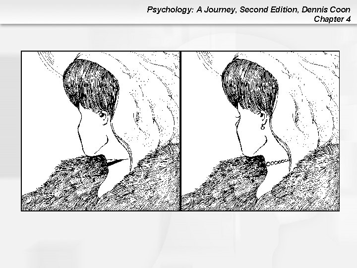 Psychology: A Journey, Second Edition, Dennis Coon Chapter 4 Psychology: A Journey, Second Edition, Dennis Coon Chapter 4