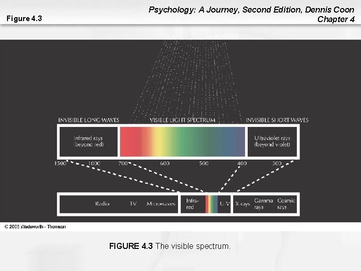Figure 4. 3 Psychology: A Journey, Second Edition, Dennis Coon Chapter 4 FIGURE 4. Figure 4. 3 Psychology: A Journey, Second Edition, Dennis Coon Chapter 4 FIGURE 4.