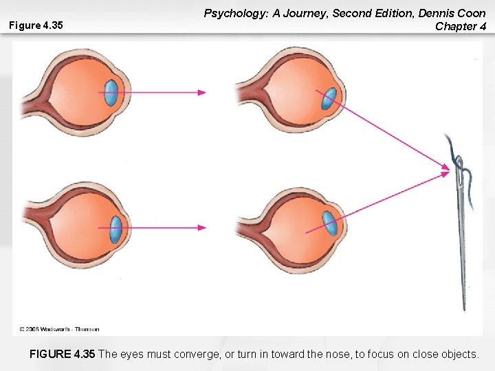 Figure 4. 35 Psychology: A Journey, Second Edition, Dennis Coon Chapter 4 FIGURE 4. Figure 4. 35 Psychology: A Journey, Second Edition, Dennis Coon Chapter 4 FIGURE 4.