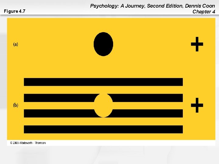 Figure 4. 7 Psychology: A Journey, Second Edition, Dennis Coon Chapter 4 Figure 4. 7 Psychology: A Journey, Second Edition, Dennis Coon Chapter 4