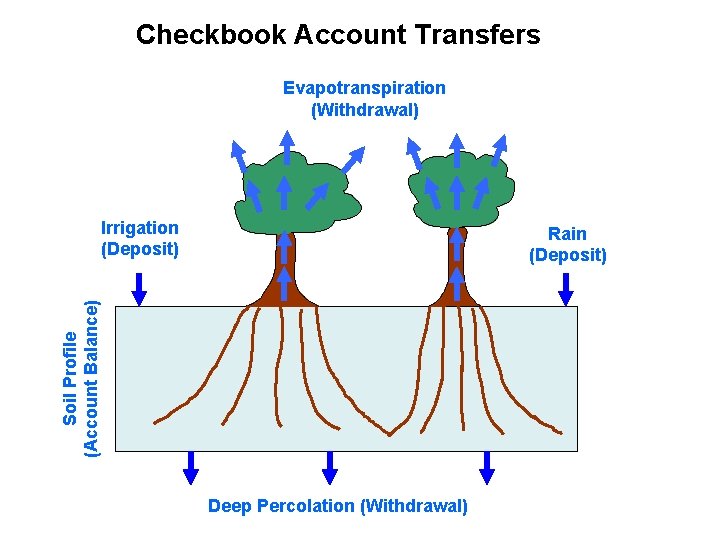 Checkbook Account Transfers Evapotranspiration (Withdrawal) Irrigation (Deposit) Soil Profile (Account Balance) Rain (Deposit) Deep