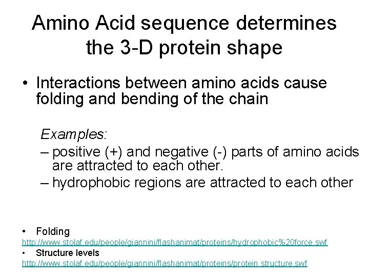 Amino Acid sequence determines the 3 -D protein shape • Interactions between amino acids