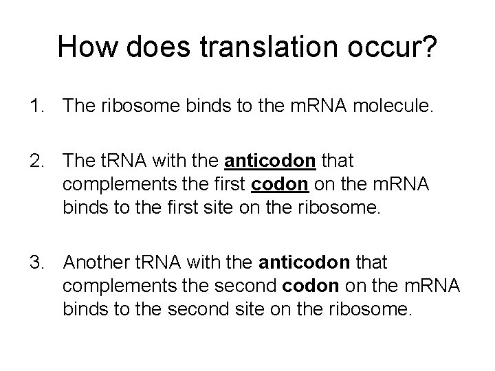 How does translation occur? 1. The ribosome binds to the m. RNA molecule. 2.