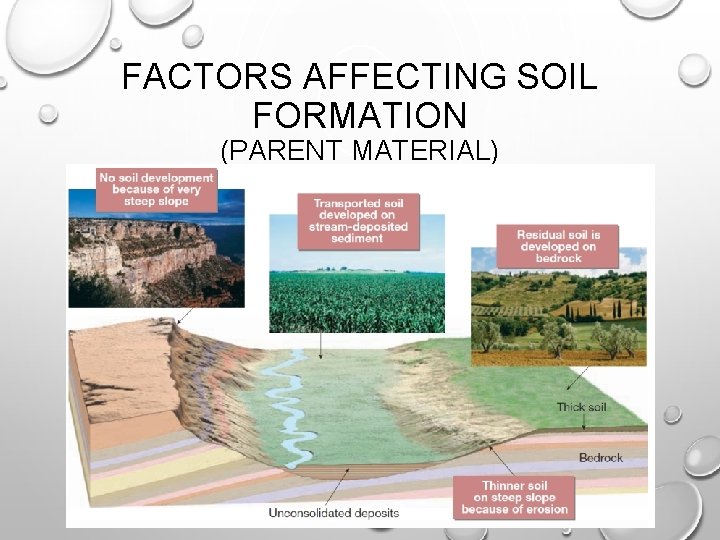 FACTORS AFFECTING SOIL FORMATION (PARENT MATERIAL) 