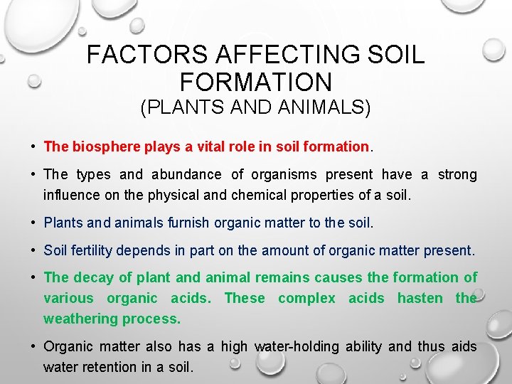 FACTORS AFFECTING SOIL FORMATION (PLANTS AND ANIMALS) • The biosphere plays a vital role