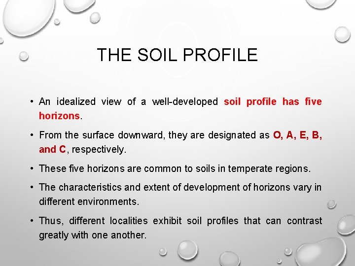 THE SOIL PROFILE • An idealized view of a well-developed soil profile has five