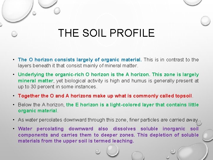 THE SOIL PROFILE • The O horizon consists largely of organic material. This is