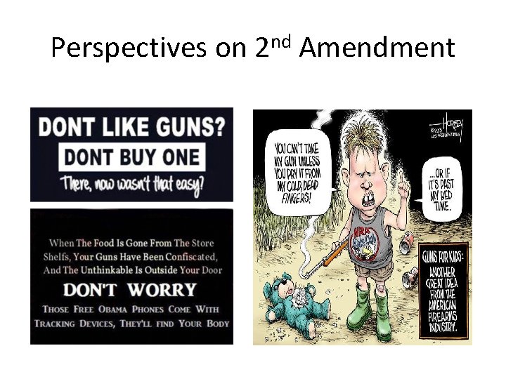 Perspectives on 2 nd Amendment 