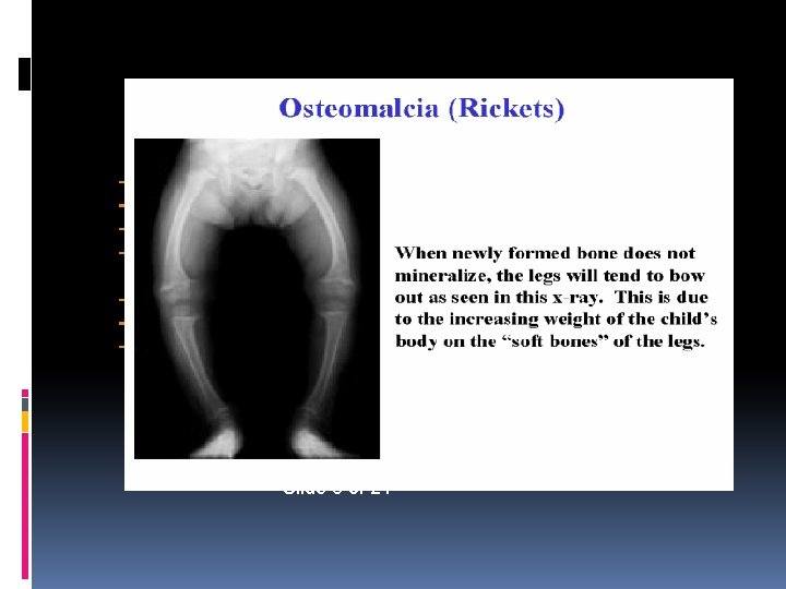  Slide 3 of 21 