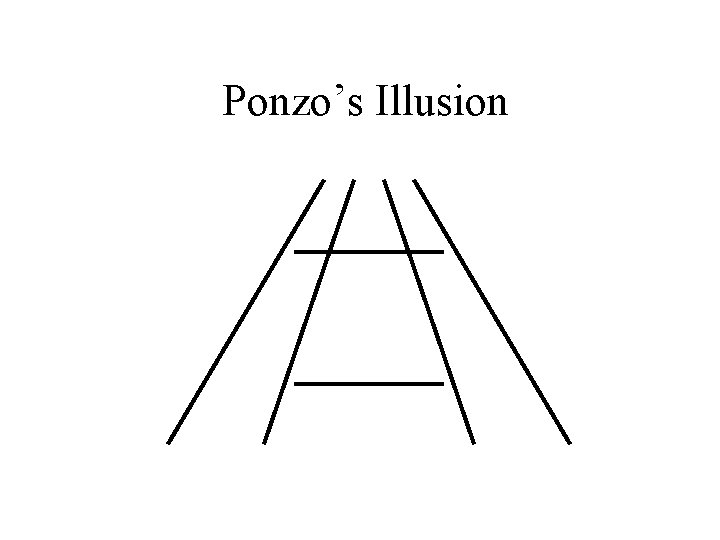 Ponzo’s Illusion 