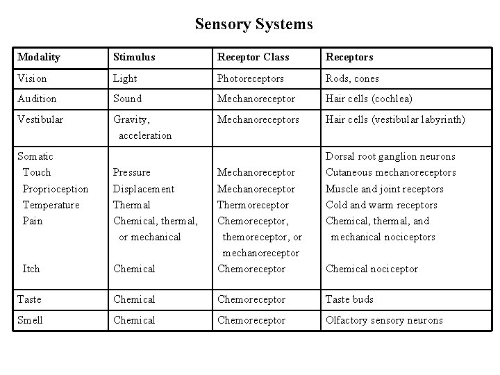 Sensory Systems Modality Stimulus Receptor Class Receptors Vision Light Photoreceptors Rods, cones Audition Sound