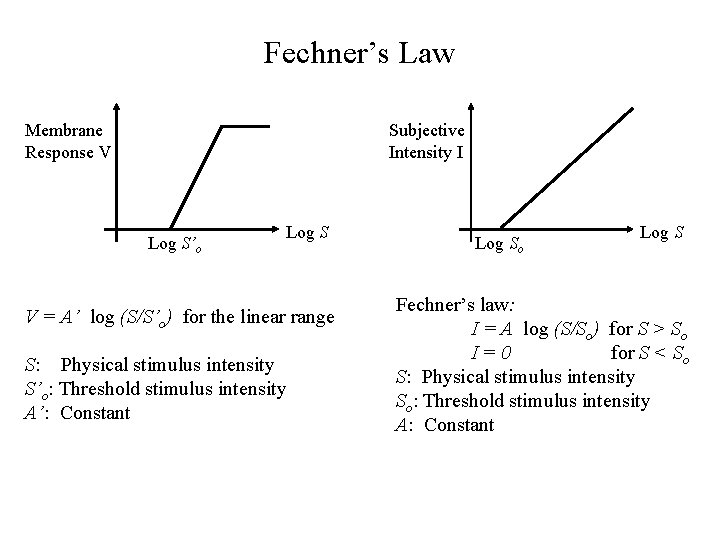 Fechner’s Law Membrane Response V Subjective Intensity I Log S’o Log S V =