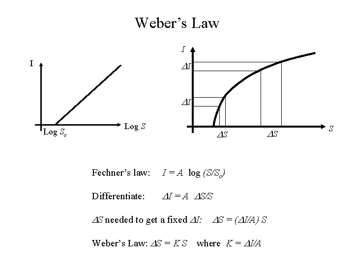 Weber’s Law I I Log So Log S S Fechner’s law: I = A