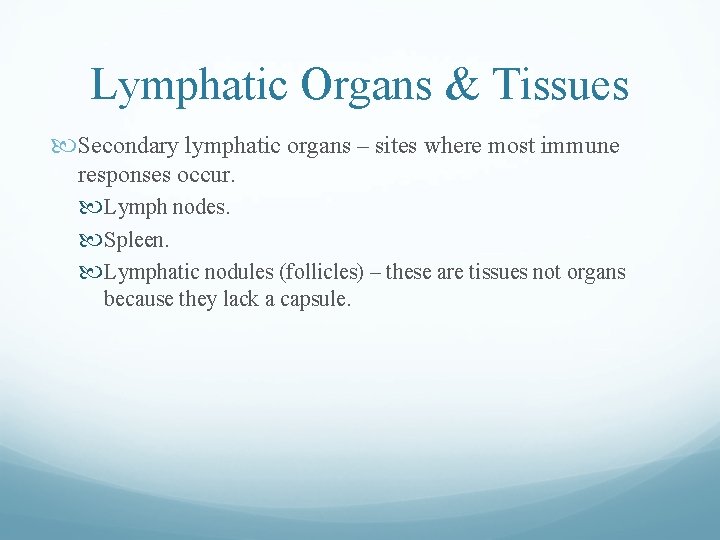 Lymphatic Organs & Tissues Secondary lymphatic organs – sites where most immune responses occur. Lymphatic Organs & Tissues Secondary lymphatic organs – sites where most immune responses occur.