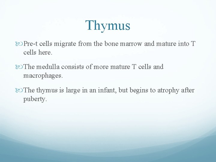 Thymus Pre-t cells migrate from the bone marrow and mature into T cells here. Thymus Pre-t cells migrate from the bone marrow and mature into T cells here.