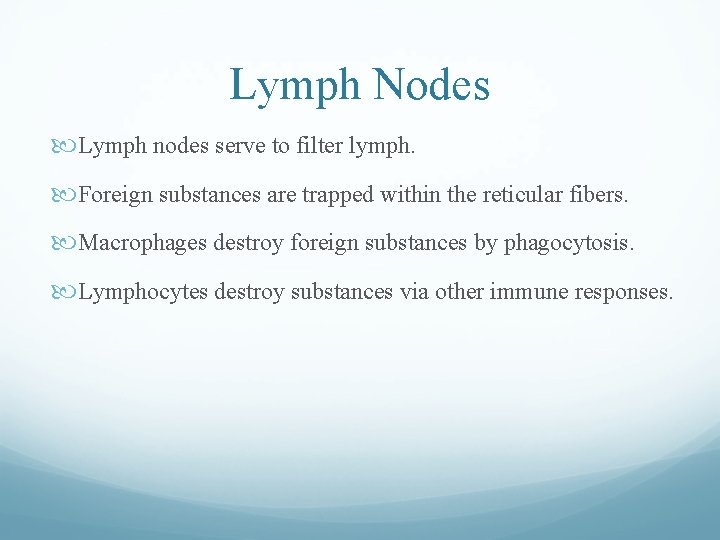 Lymph Nodes Lymph nodes serve to filter lymph. Foreign substances are trapped within the Lymph Nodes Lymph nodes serve to filter lymph. Foreign substances are trapped within the