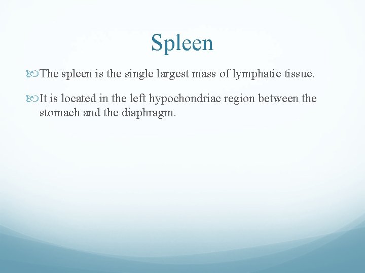 Spleen The spleen is the single largest mass of lymphatic tissue. It is located Spleen The spleen is the single largest mass of lymphatic tissue. It is located