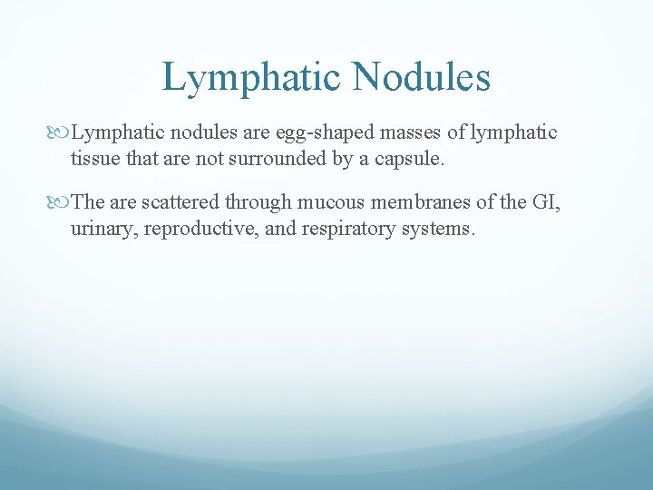 Lymphatic Nodules Lymphatic nodules are egg-shaped masses of lymphatic tissue that are not surrounded Lymphatic Nodules Lymphatic nodules are egg-shaped masses of lymphatic tissue that are not surrounded