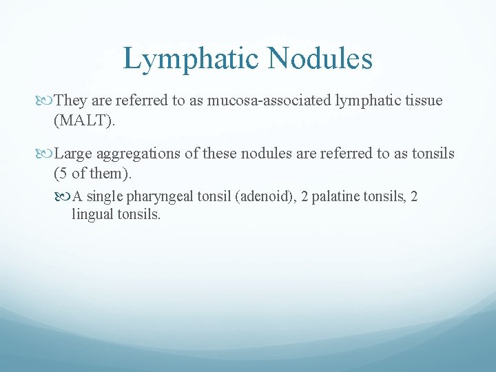 Lymphatic Nodules They are referred to as mucosa-associated lymphatic tissue (MALT). Large aggregations of Lymphatic Nodules They are referred to as mucosa-associated lymphatic tissue (MALT). Large aggregations of