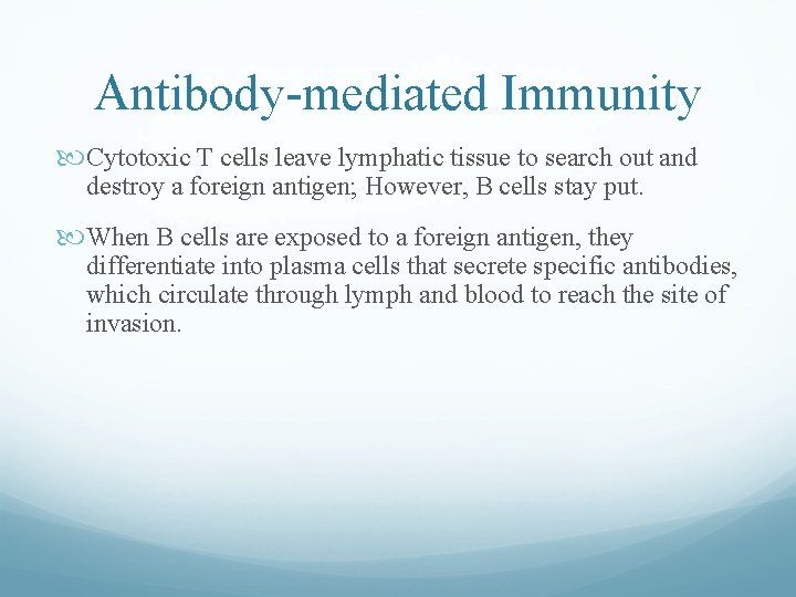 Antibody-mediated Immunity Cytotoxic T cells leave lymphatic tissue to search out and destroy a Antibody-mediated Immunity Cytotoxic T cells leave lymphatic tissue to search out and destroy a