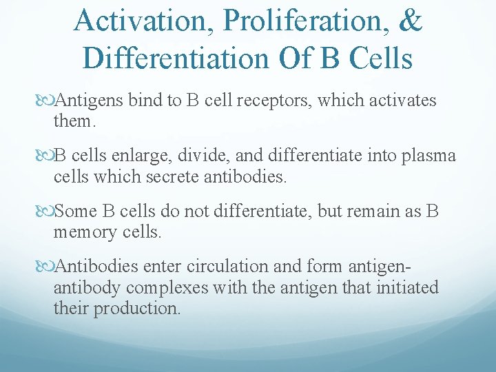 Activation, Proliferation, & Differentiation Of B Cells Antigens bind to B cell receptors, which Activation, Proliferation, & Differentiation Of B Cells Antigens bind to B cell receptors, which
