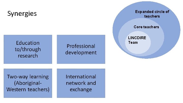Synergies Expanded circle of teachers Core teachers LINCDIRE Team Synergies Expanded circle of teachers Core teachers LINCDIRE Team