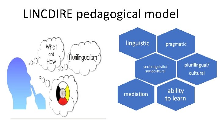 LINCDIRE pedagogical model LINCDIRE pedagogical model