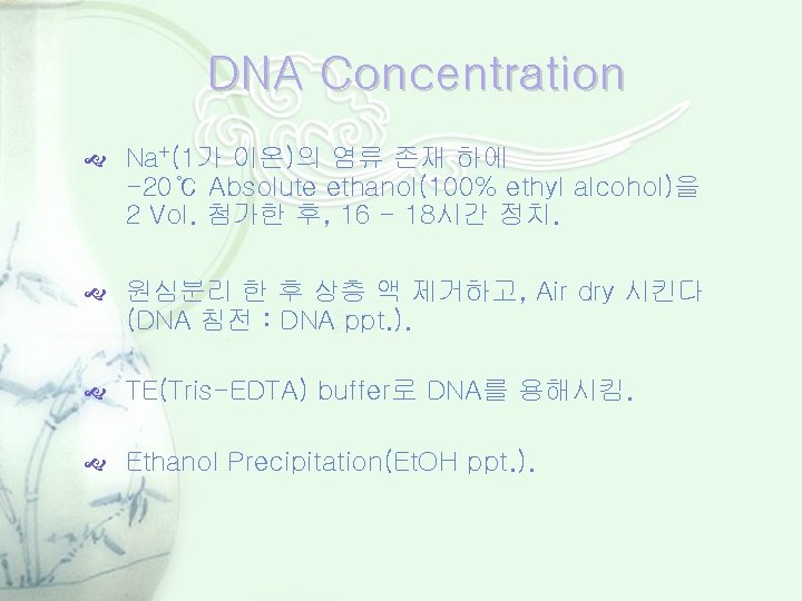 DNA Concentration Na+(1가 이온)의 염류 존재 하에 -20℃ Absolute ethanol(100% ethyl alcohol)을 2 Vol.