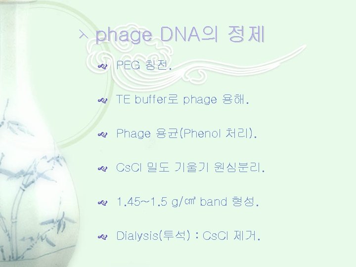 ⋋ phage DNA의 정제 PEG 침전. TE buffer로 phage 용해. Phage 용균(Phenol 처리). Cs.