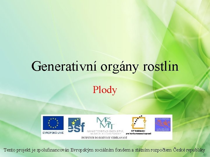 Generativní orgány rostlin Plody Tento projekt je spolufinancován Evropským sociálním fondem a státním rozpočtem Generativní orgány rostlin Plody Tento projekt je spolufinancován Evropským sociálním fondem a státním rozpočtem