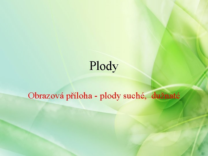 Plody Obrazová příloha - plody suché, dužnaté Plody Obrazová příloha - plody suché, dužnaté