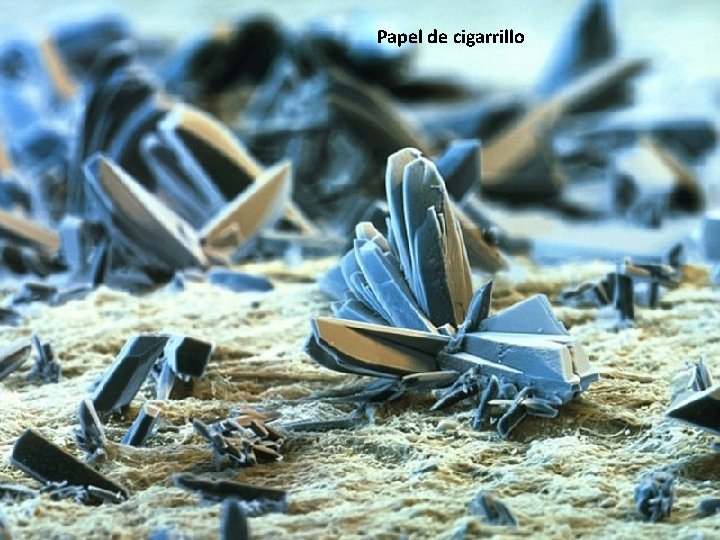 Papel de cigarrillo 