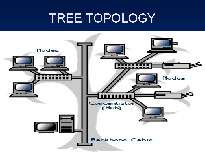 TREE TOPOLOGY 