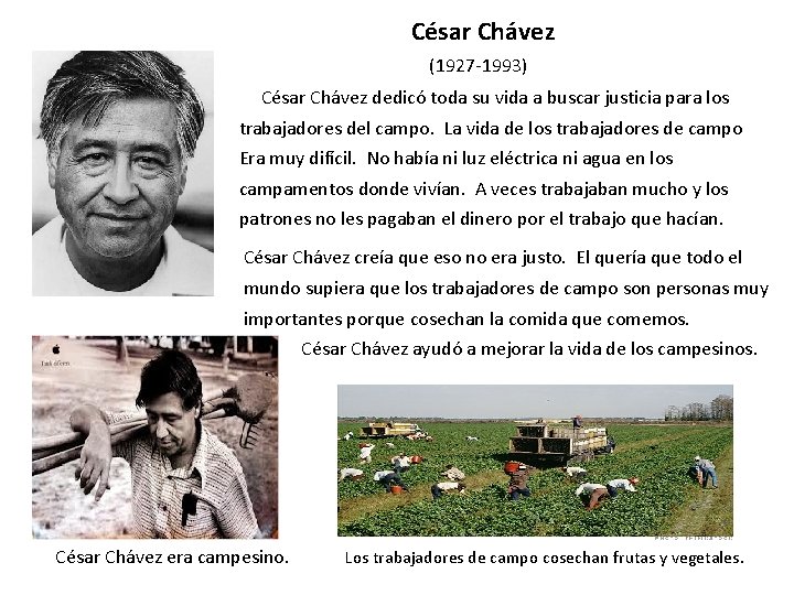 César Chávez (1927 -1993) César Chávez dedicó toda su vida a buscar justicia para