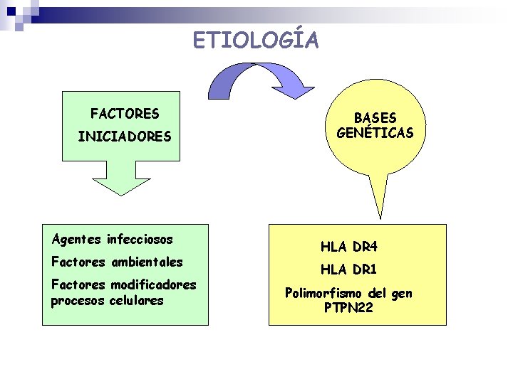 ETIOLOGÍA FACTORES INICIADORES Agentes infecciosos Factores ambientales Factores modificadores procesos celulares BASES GENÉTICAS HLA ETIOLOGÍA FACTORES INICIADORES Agentes infecciosos Factores ambientales Factores modificadores procesos celulares BASES GENÉTICAS HLA