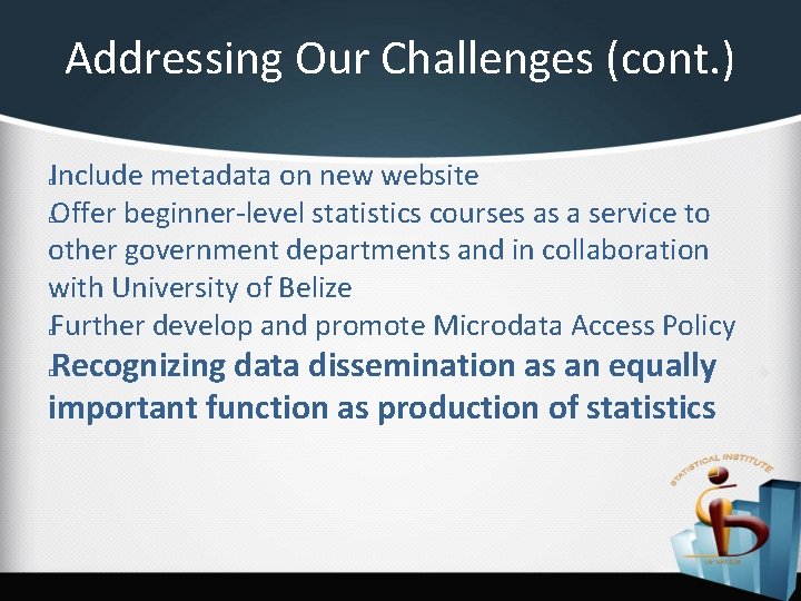 Addressing Our Challenges (cont. ) Include metadata on new website Offer beginner-level statistics courses