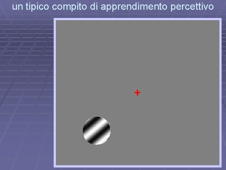 un tipico compito di apprendimento percettivo 