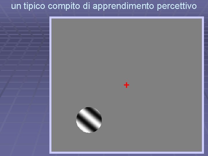 un tipico compito di apprendimento percettivo 