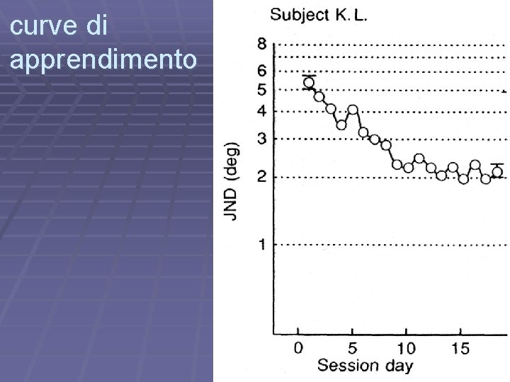 curve di apprendimento 