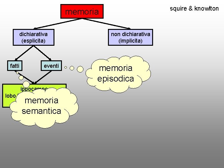 squire & knowlton memoria dichiarativa (esplicita) fatti eventi ippocampo lobo temporale mediale memoria diencefalo