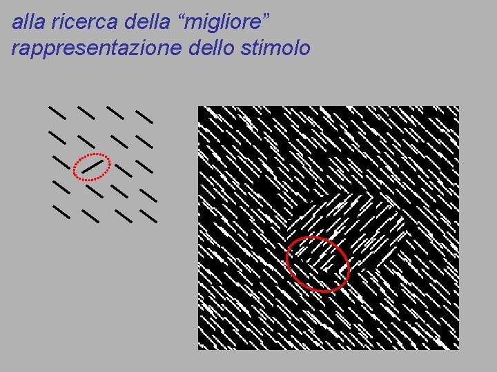 alla ricerca della “migliore” rappresentazione dello stimolo 