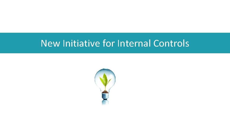 New Initiative for Internal Controls 