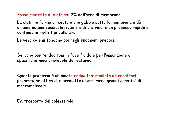 Fosse rivestite di clatrina: 2% dell’area di membrana La clatrina forma un cesto o