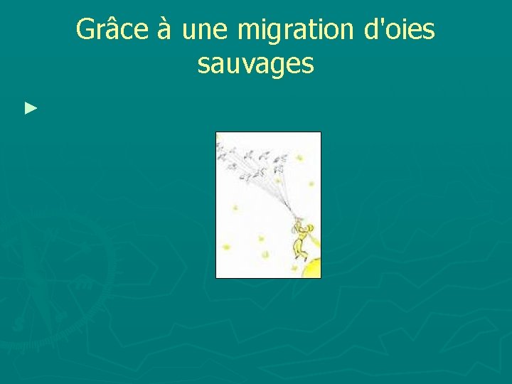 Grâce à une migration d'oies sauvages ► 