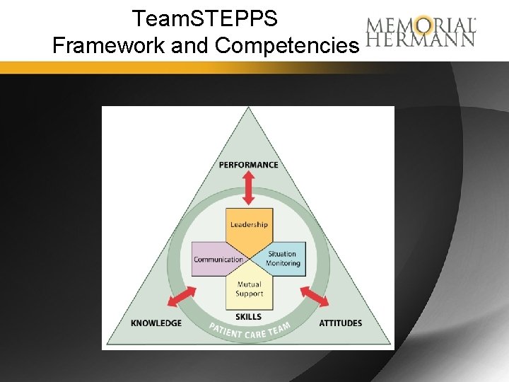 Team. STEPPS Framework and Competencies 