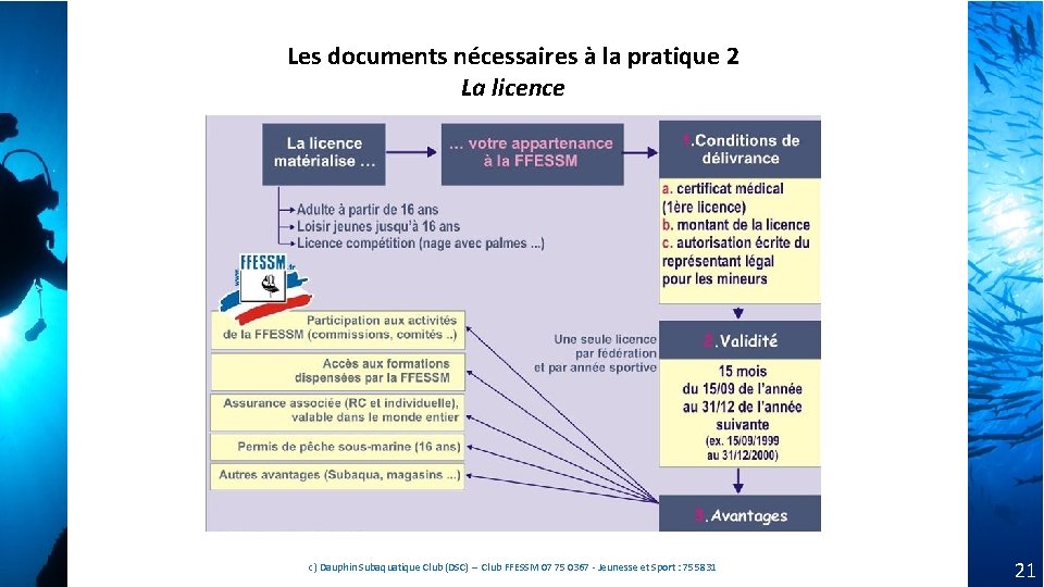 Les documents nécessaires à la pratique 2 La licence c) Dauphin Subaquatique Club (DSC) Les documents nécessaires à la pratique 2 La licence c) Dauphin Subaquatique Club (DSC)