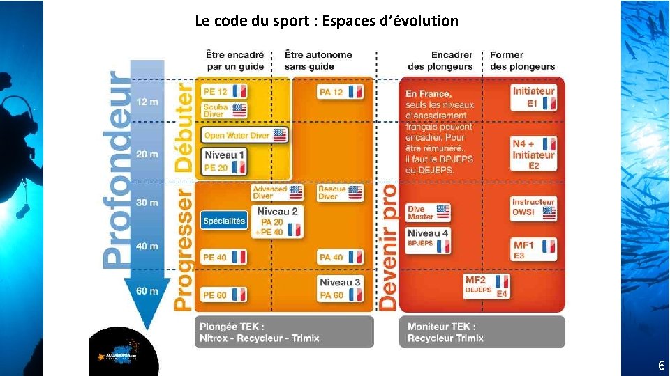 Le code du sport : Espaces d’évolution c) Dauphin Subaquatique Club (DSC) – Club Le code du sport : Espaces d’évolution c) Dauphin Subaquatique Club (DSC) – Club