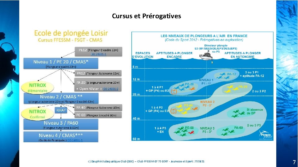 Cursus et Prérogatives c) Dauphin Subaquatique Club (DSC) – Club FFESSM 07 75 0367 Cursus et Prérogatives c) Dauphin Subaquatique Club (DSC) – Club FFESSM 07 75 0367