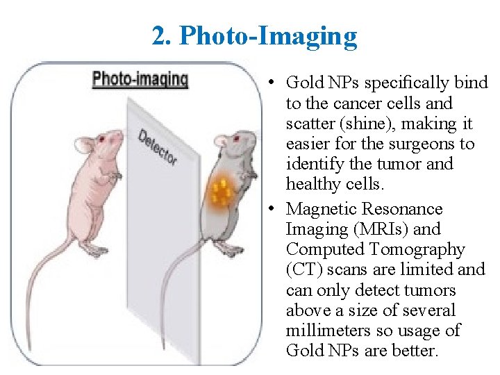 2. Photo-Imaging • Gold NPs speciﬁcally bind to the cancer cells and scatter (shine),