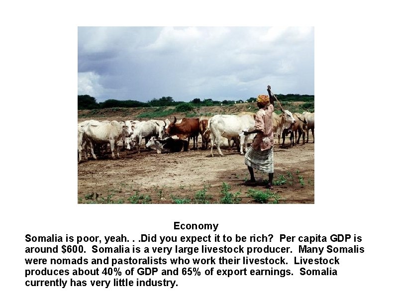 Economy Somalia is poor, yeah. . . Did you expect it to be rich?